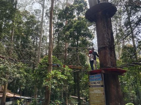 Mojosemi Forest Park Wisata Indah Di Magetan Dengan Segala Wahananya