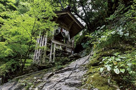 パワースポットを巡って30年！植島啓司さんの「圧倒的聖地」。【vol2万物は流転する 水脈】｜infoseekニュース