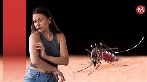 Por Qu Los Mosquitos Prefieren Picar A Algunas Personas Y Otras No