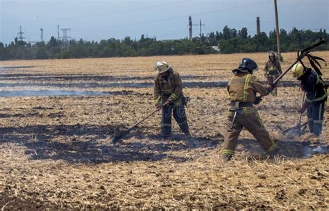 Paja Catstrofe Ecolgica El Fuego Y El Humo Destruyen Toda La Vida