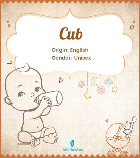 Cub Meaning Origin Popularity