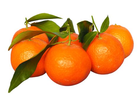 Are Tangerines Good For Pregnancy Is It Safe