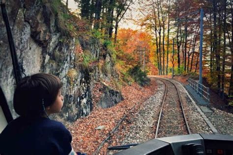 Treno Del Foliage Torna Il Fiabesco Viaggio Tra La Magia E I Colori