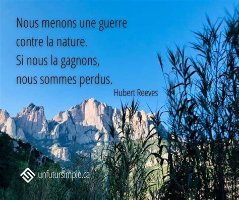 Citation Sur La Nature Et 9 Autres Citations Dinspiration Minimaliste