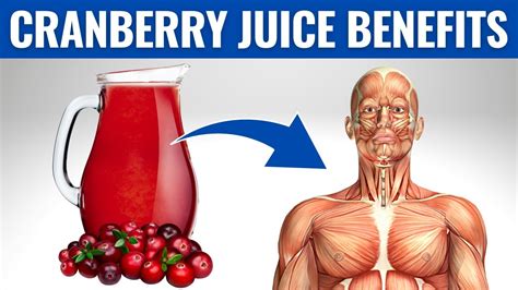 Cranberry Juice Benefits 13 Amazing Health Benefits Of Cranberry Juice Youtube