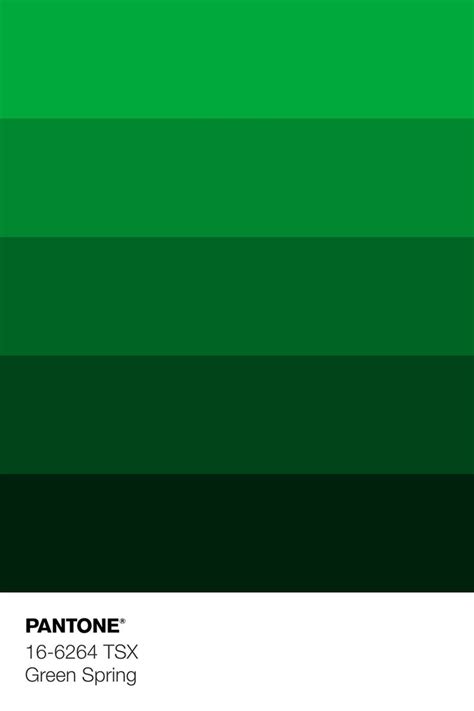 Pantone S Green Spring Color Is Shown In The Image And It Looks Like