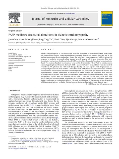 PDF PARP Mediates Structural Alterations In Diabetic Cardiomyopathy