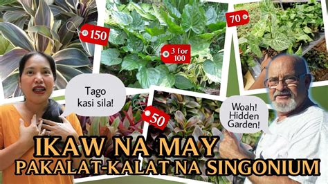 PLANT HUNTING PA MORE NAKATAGONG BILIHAN NG MGA MURANG HALAMAN SA