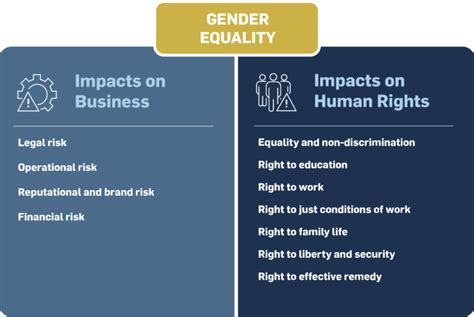 Gender Equality • Business And Human Rights Navigator