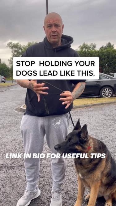 Holding the Lead Dog Training Tips | Dog training tips, Dog leash ...