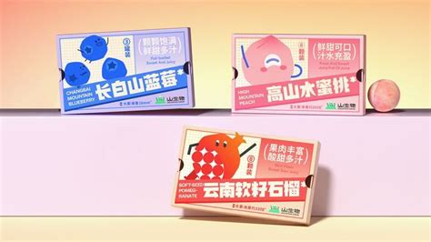 山生物高山水果品牌IP设计 养生坚果礼盒 包装设计 Chocolate packaging design Food graphic