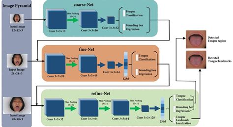 The Architecture Of The Cascaded Cnns Download Scientific Diagram