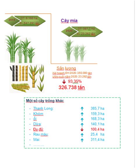 Chi CỤc ThỐng KÊ HuyỆn BẾn LỨc Long An Inforaphic