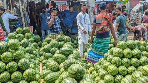 প্রতিদিন কোটি টাকার তরমুজ বিক্রি হয় যে হাটে