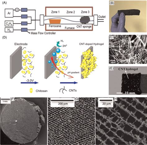 Figure 2 From Carbon Material‐based Anodes In The Microbial Fuel Cells