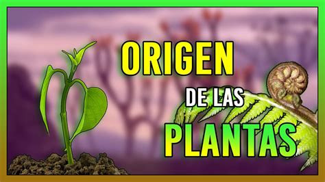 El Origen De Las PLANTAS TERRESTRES Cuando Las PRIMERAS PLANTAS