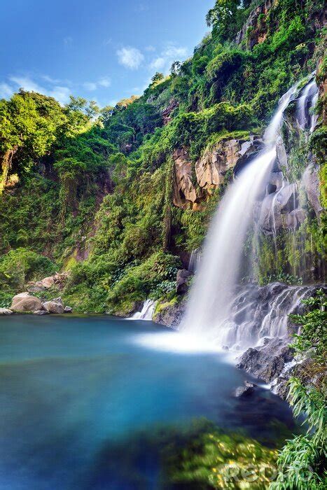 Poster Waldlandschaft Mit Wasserfall Nach Ma Myredro De