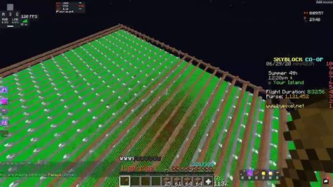 Making Second Layer Of Potato Farm Hypixel Skyblock Youtube