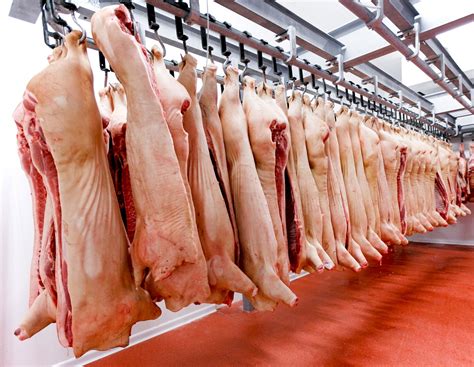 La exportación de carne porcina cerró julio con una disminución