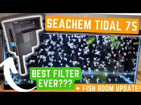 SEACHEM TIDAL FILTER REVIEW AND SETUP FISH ROOM UPDATE YouTube