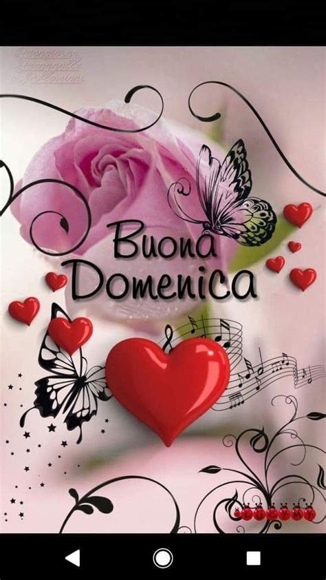 Pin Di Lilli Amore Su Foto1 Buona Domenica Domenica Citazioni Buona