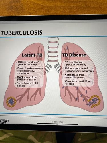 Pathophysiology Respiratory System Flashcards Quizlet