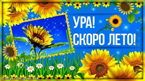 УРА! СКОРО ЛЕТО! | Лето, С днем рождения, Забавные картинки