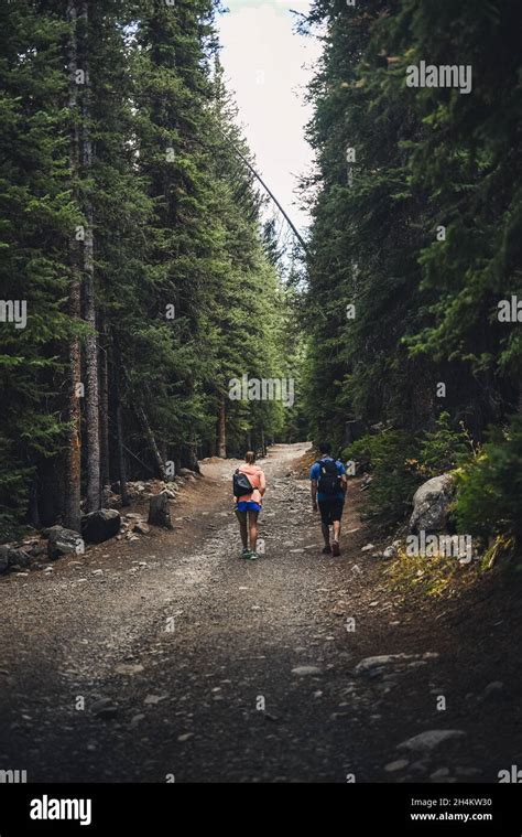 Donna Che Cammina Su Un Sentiero In Montagna Immagini E Fotografie