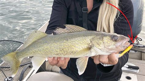 Best Colors For Walleye Fishing