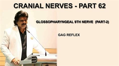 CRANIAL NERVES PART 62 GLOSSOPHARYNGEAL 9TH NERVE PART 2 GAG