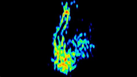 Astronomers Gaze Deep Into The Heart Of Active Galaxy Bl Lacertae