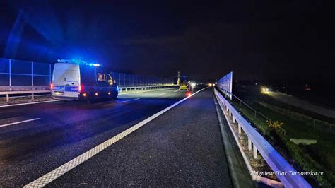 Wypadek na A4 pod Brzeskiem Zderzenie łosia z clio i hondą Lądował LPR