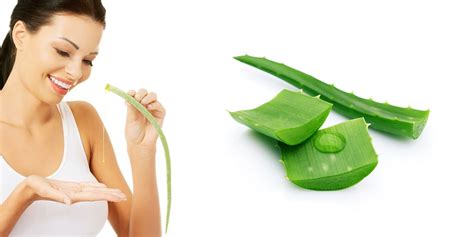 Manfaat Tanaman Aloe Vera Bagi Kulit Wajah