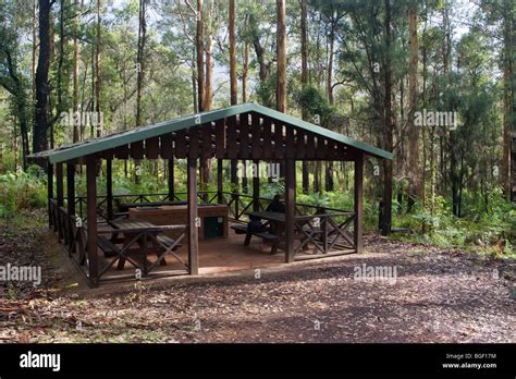 Undercover Picnic And Bbq Area In Gloucester National Park Pemberton