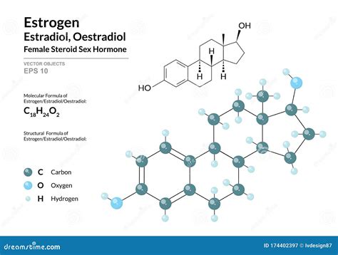 Hormone Estrogen Estradiol Oestradiol Structural Chemical Formula And