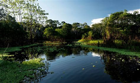 Agua Dulce | WWF