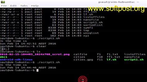 How To Execute Sh File In Bash Youtube