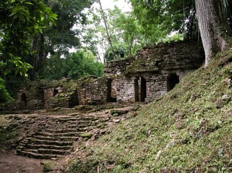 Ruinen Von Yaxchilan Im Dschungel Von Chiapas