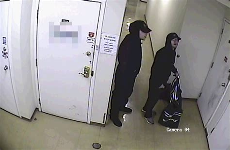 Richmond Mounties Looking To Identify Arson Suspects Delta Optimist