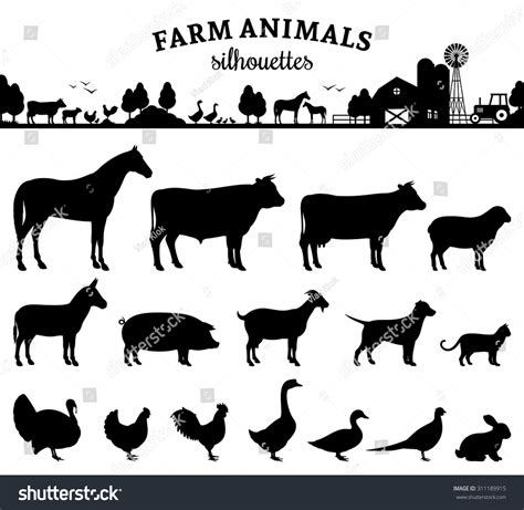 Vector Farm Animals Silhouettes Isolated On Stock Vector Royalty Free