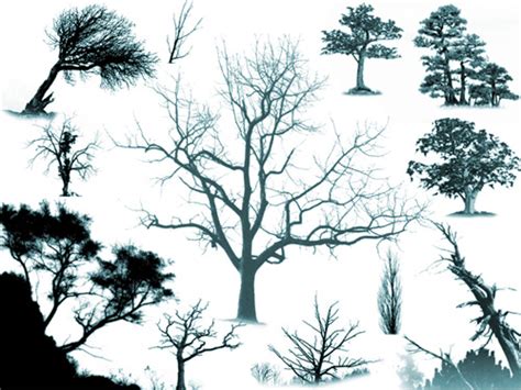 500 Very Useful Tree Photoshop Brushes PHOTOSHOP FREE BRUSHES