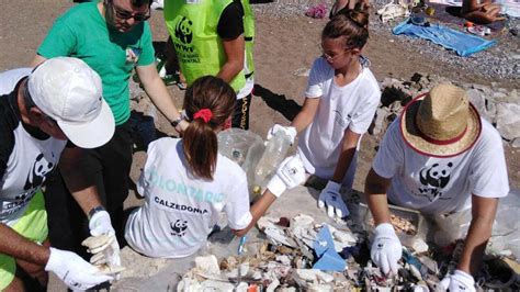 Giornata Plastic Free I Volontari Del Wwf Puliscono La Spiaggia