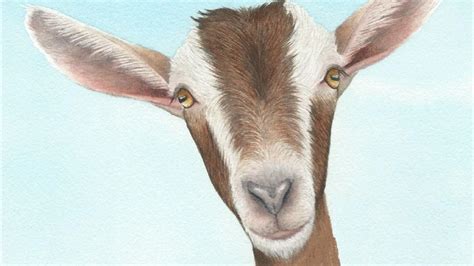 Goat Painting