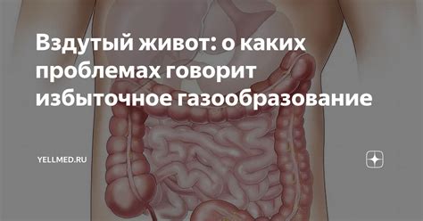 Вздутый живот: о каких проблемах говорит избыточное газообразование ...