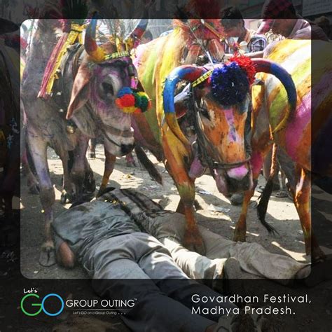 The Govardhan Festival Is Celebrated To Worship Lord Krishna And