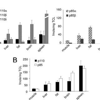 Quantification Of Class IA PI3K Isoforms In Murine Tissues A