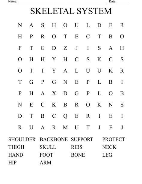 Skeletal System Word Search Printable Word Search Maker