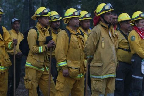 Extinguen En Su Totalida El Incendio Forestal En La Reserva De La