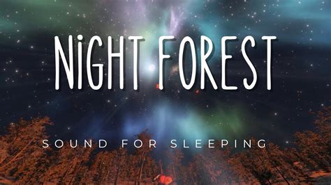 Night Forest Sounds for Sleeping and Relaxing - YouTube