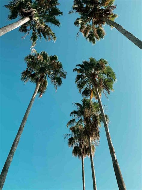 Quelle période pour aller en Floride fenua tahiti